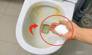 Just sprinkle this into the toilet, and stubborn yellow stains disappear instantly