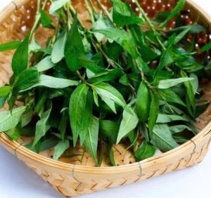 Whether your house is small or large, Vietnamese coriander is a vegetable you should grow because of these advantages.