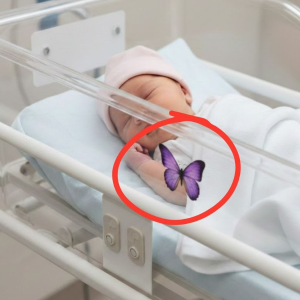If You See a Purple Butterfly Sticker Near a Newborn, Here’s What It Means