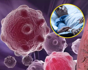 8 powerful anti-cancer foods you should start including in your diet