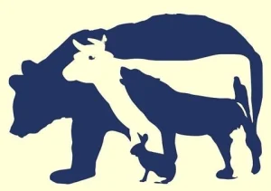 How Many Animals Do You Actually See? The Fascinating Psychology Behind This Optical Illusion