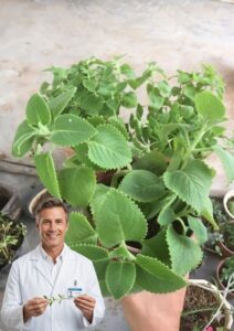 The Aromatic Medicinal Plant Many Families Are Quietly Growing At Home — Easy To Care For And Surprisingly Useful