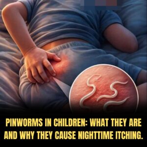 The Silent Midnight Disturbance: An Educational Guide to Understanding Pinworms in Children