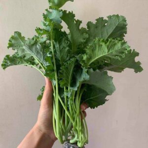 British Doctors Reveal 7 Vegetables That May Help Lower Blood Sugar