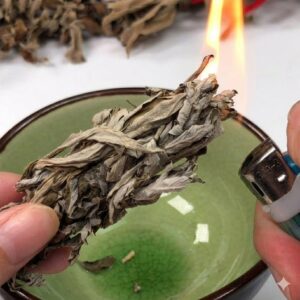 Mosquitoes Hate This Leaf! Just Crush And Place It In Room Corners — Your Home Will Smell Fresh And Feel More Comfortable