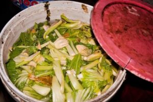 The Hidden Risks in Market Food Containers