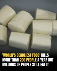 The Ultimate Guide to Cassava: Balancing Nutrition, Safety, and Global Food Security