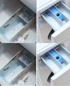 The Best Secret to Keep Your Washer Drawer Clean and Mold-Free