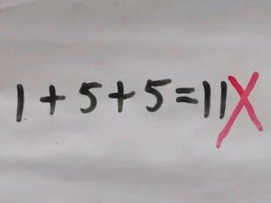 Elementary School Math Puzzle Sparks Debate Online — Child Answered 1+5+5=11 But Teacher Marked It Wrong