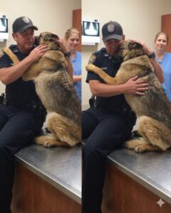 The Ultimate Display of Canine Loyalty and Devotion