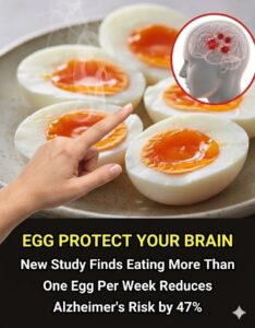 Discover how adding eggs to your weekly diet can boost brain health.