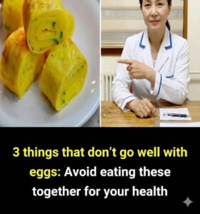 The Ultimate Guide to Smart Food Pairings for Your Daily Routine