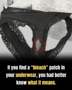 The Chemistry Behind Fabric Color Shifts in Undergarments