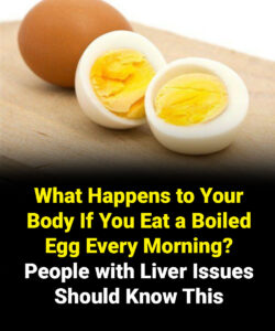 What Happens to Your Body If You Eat a Boiled Egg Every Morning?