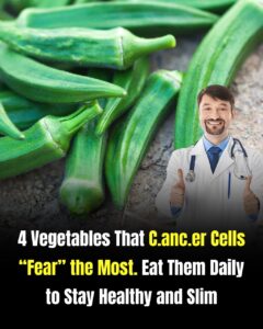 Top Wholesome Green Varieties to Support Long-Term Vitality and Wellness