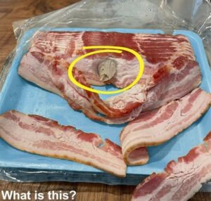 The Bacon Mystery: Uncovering What Is Really in Your Meat