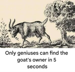 Can You Spot the Hidden Face in 5 Seconds