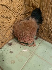 After A Week Away, They Came Home To This In Their Bathroom… The Truth Was Unexpected