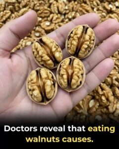 Discover how walnuts boost your daily wellness naturally.