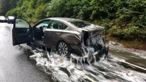 Nightmare On The Highway: 3 Tons Of Eels Spill Across Road, Covering Cars In Thick Slime