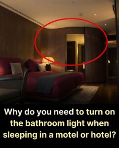 Why You Should Leave the Bathroom Light On in a Hotel Room