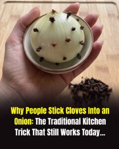 Why People Stick Cloves Into an Onion: The Traditional Kitchen Trick That Still Works Today