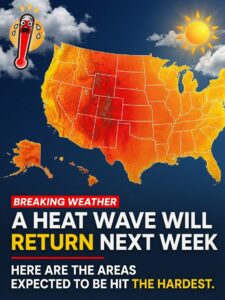 Extreme Summer Heat Waves: Essential Survival Guide and Regional Impacts