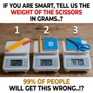 The Scissors Weight Puzzle: Here Is the Exact Solution and Step-by-Step Logic