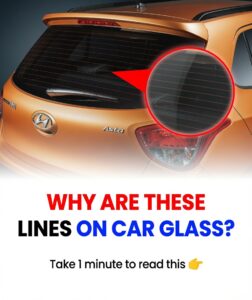 Why Are There Horizontal Lines on Your Car Rear Window? Explained