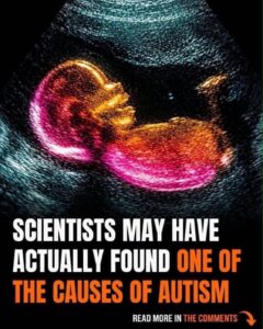 New scientific findings offer fresh insights into early brain growth.