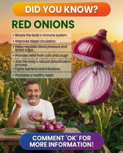 The Incredible Health Benefits of Red Onions You Should Know