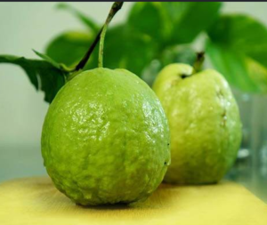 Why Guava Is Considered One of the Healthiest Fruits You Can Eat